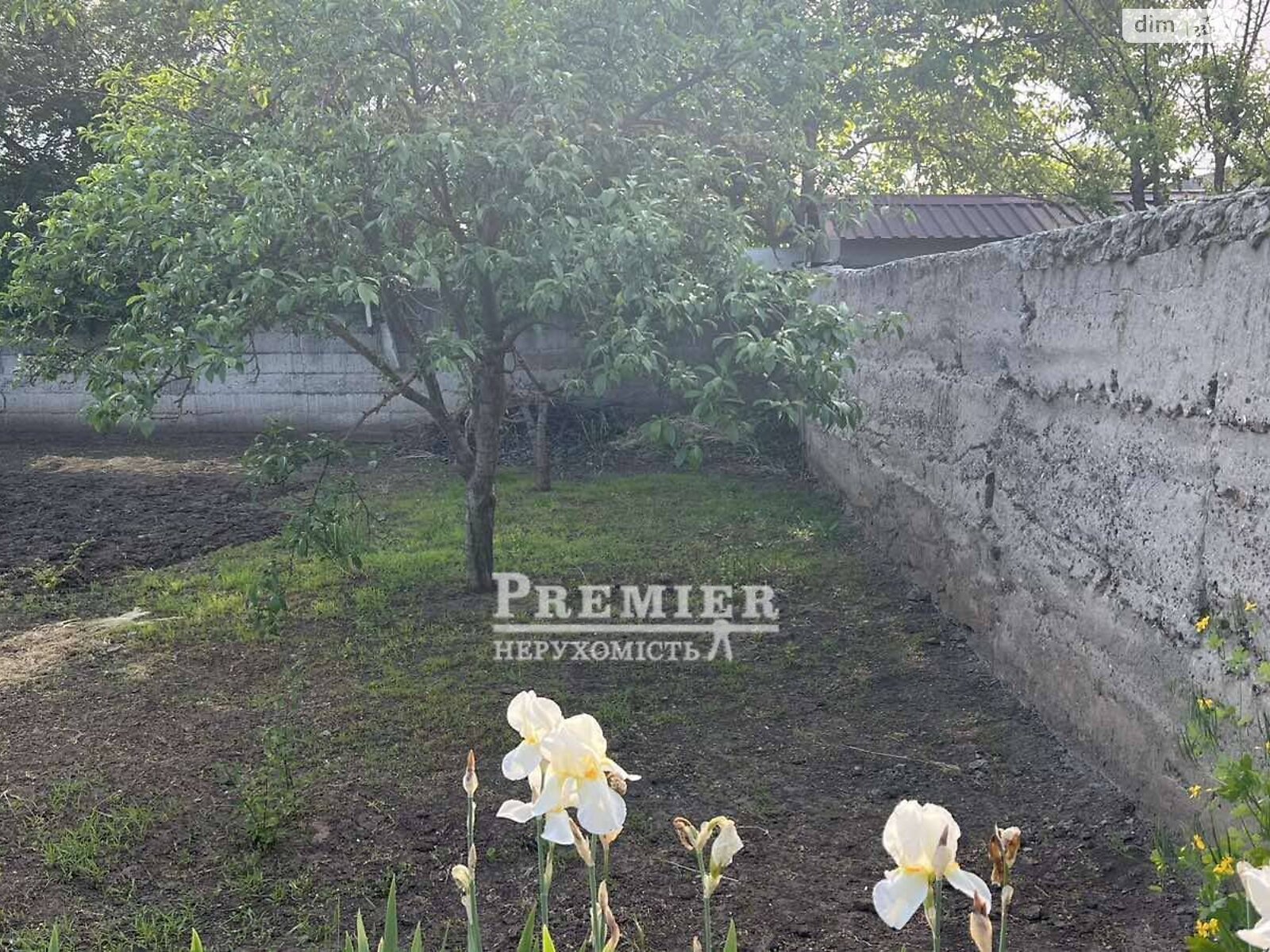 Земельный участок сельскохозяйственного назначения в Молодежном, площадь 6 соток фото 1 Земельный участок сельскохозяйственного назначения в Молодежном, площадь 6 соток фото 1