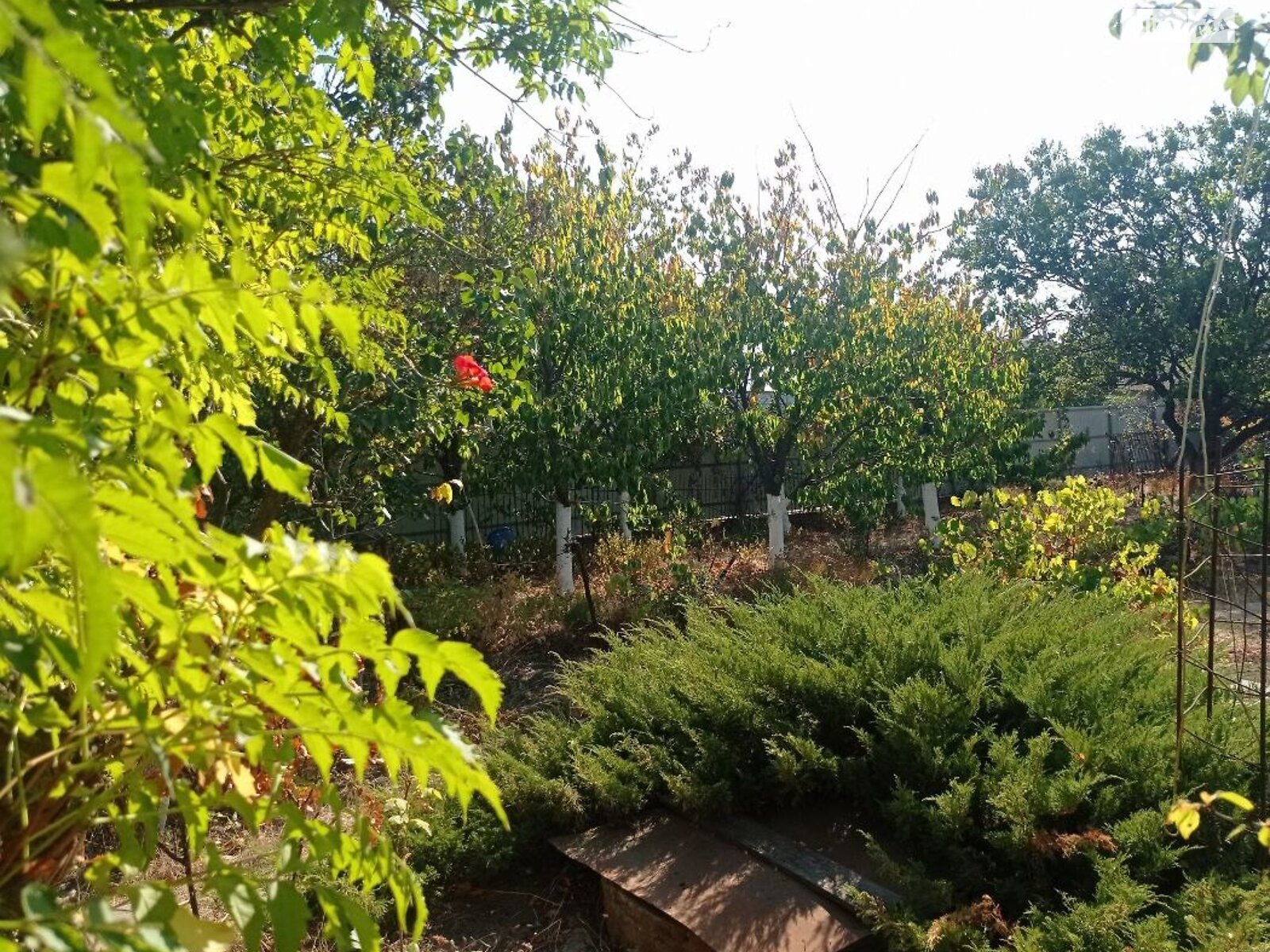 Земельный участок сельскохозяйственного назначения в Молодежном, площадь 6.15 сотки фото 1