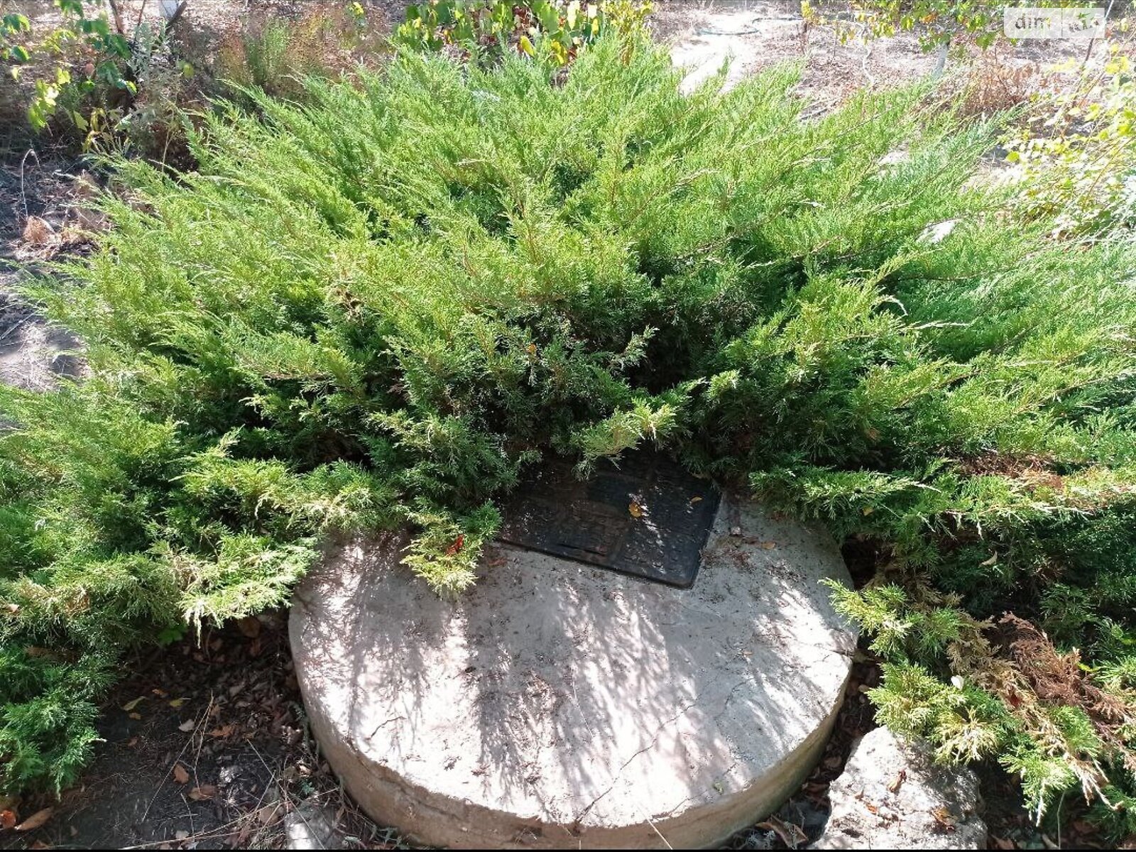 Земельный участок сельскохозяйственного назначения в Молодежном, площадь 6.15 сотки фото 1