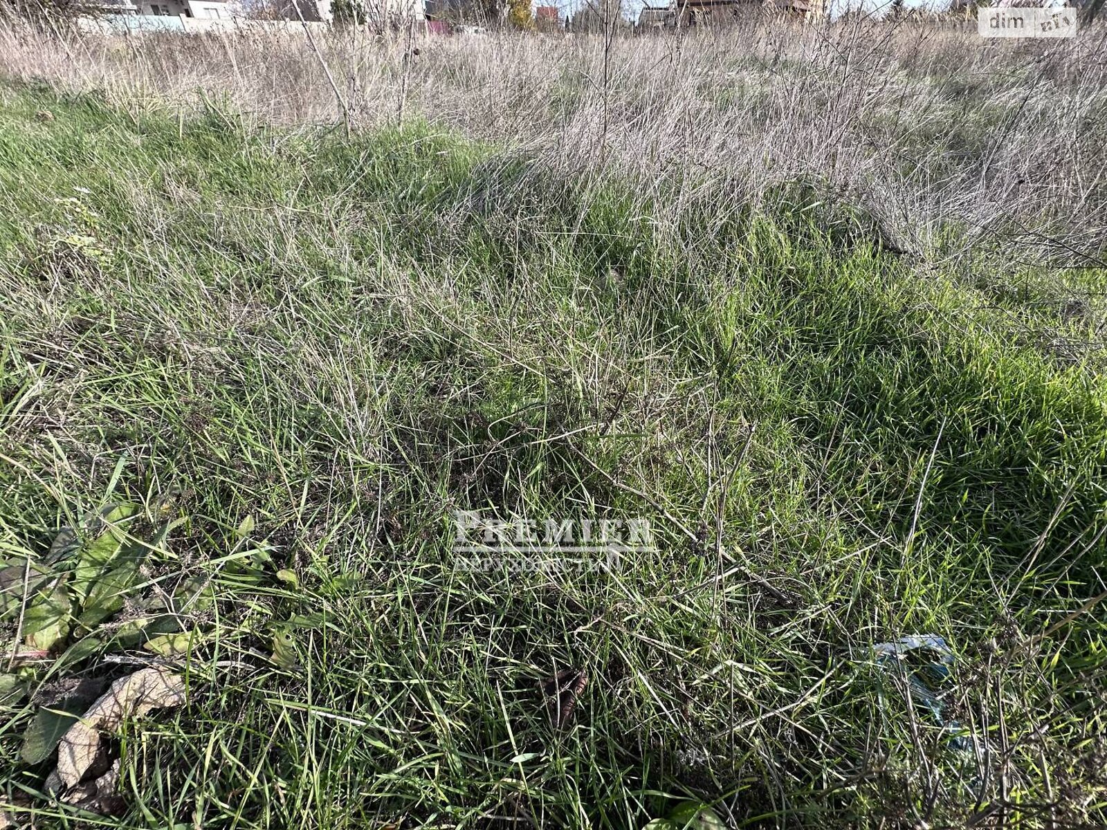 Земельный участок сельскохозяйственного назначения в Молодежном, площадь 6 соток фото 1 Земельный участок сельскохозяйственного назначения в Молодежном, площадь 6 соток фото 1