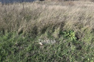 Земельный участок сельскохозяйственного назначения в Молодежном, площадь 6 соток фото 2 Земельный участок сельскохозяйственного назначения в Молодежном, площадь 6 соток фото 2