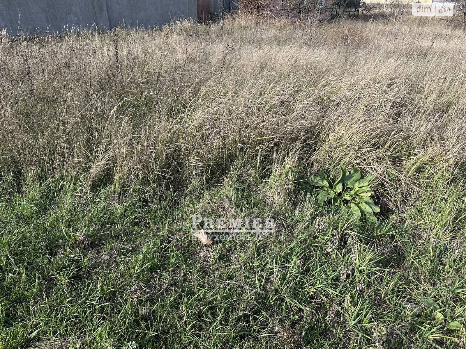 Земельный участок сельскохозяйственного назначения в Молодежном, площадь 6 соток фото 1 Земельный участок сельскохозяйственного назначения в Молодежном, площадь 6 соток фото 1