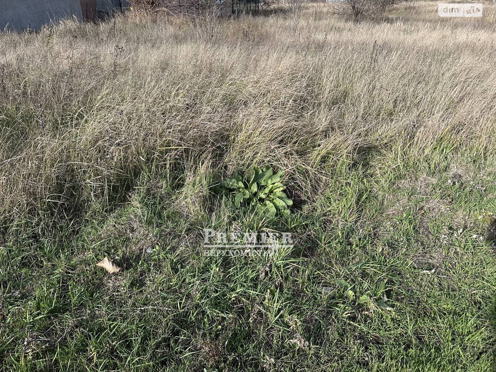 Земельный участок сельскохозяйственного назначения в Молодежном, площадь 6 соток фото 1 Земельный участок сельскохозяйственного назначения в Молодежном, площадь 6 соток фото 1