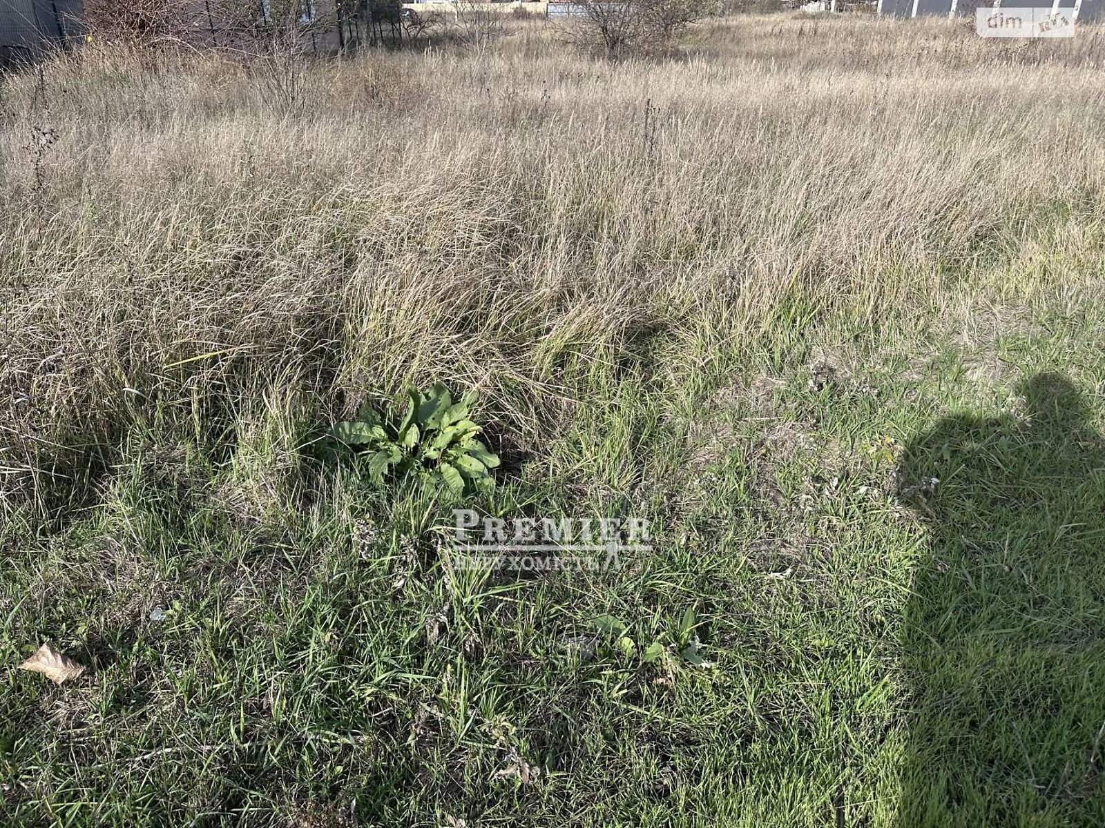 Земельный участок сельскохозяйственного назначения в Молодежном, площадь 6 соток фото 1 Земельный участок сельскохозяйственного назначения в Молодежном, площадь 6 соток фото 1