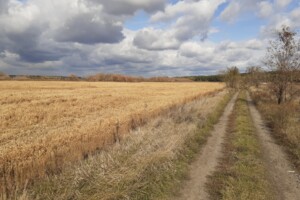 Земельна ділянка сільськогосподарського призначення в Мощуні, площа 110 соток фото 2