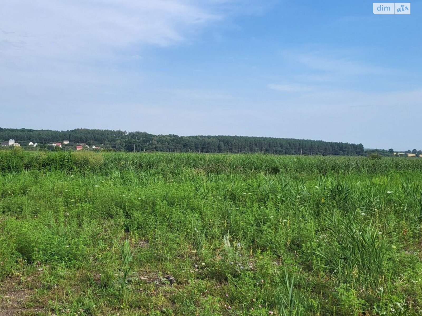 Земельный участок сельскохозяйственного назначения в Мостище, площадь 4.958 Га фото 1 Земельный участок сельскохозяйственного назначения в Мостище, площадь 4.958 Га фото 1