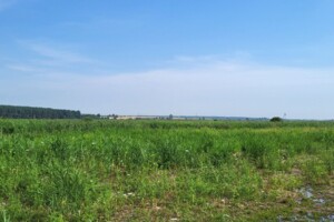 Земельный участок сельскохозяйственного назначения в Мостище, площадь 4.958 Га фото 2 Земельный участок сельскохозяйственного назначения в Мостище, площадь 4.958 Га фото 2