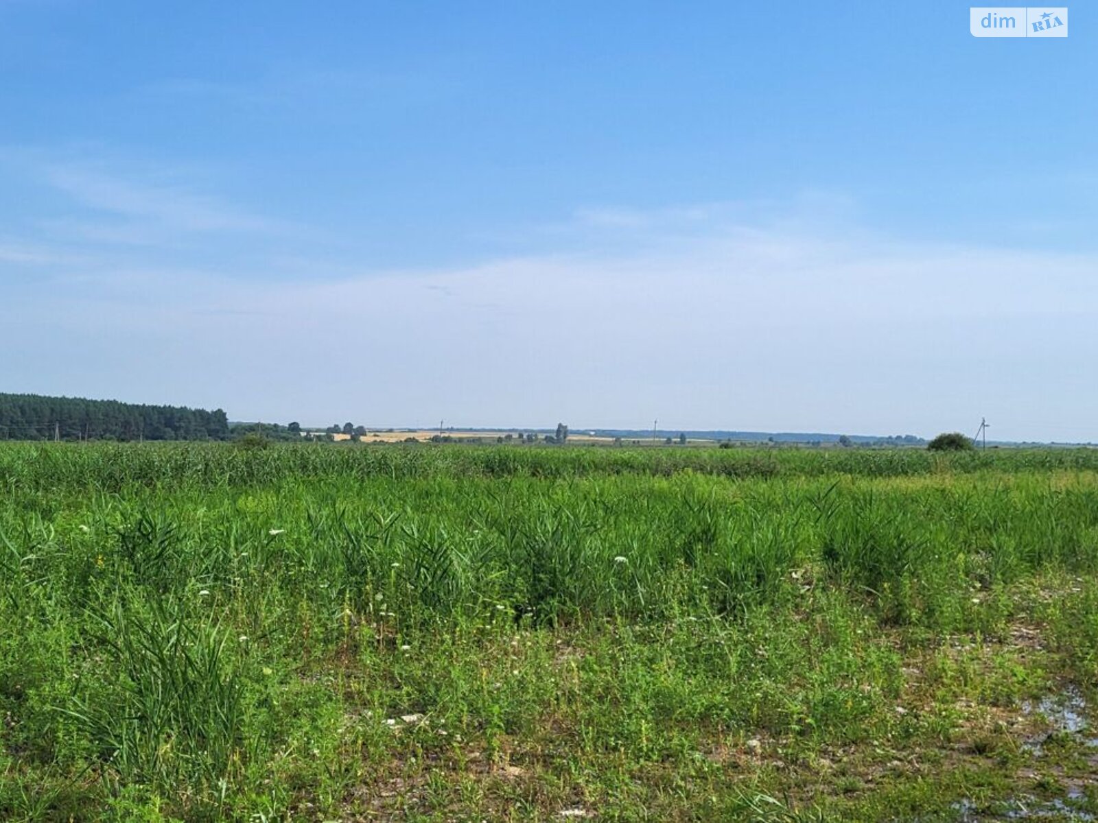 Земельный участок сельскохозяйственного назначения в Мостище, площадь 4.958 Га фото 1 Земельный участок сельскохозяйственного назначения в Мостище, площадь 4.958 Га фото 1