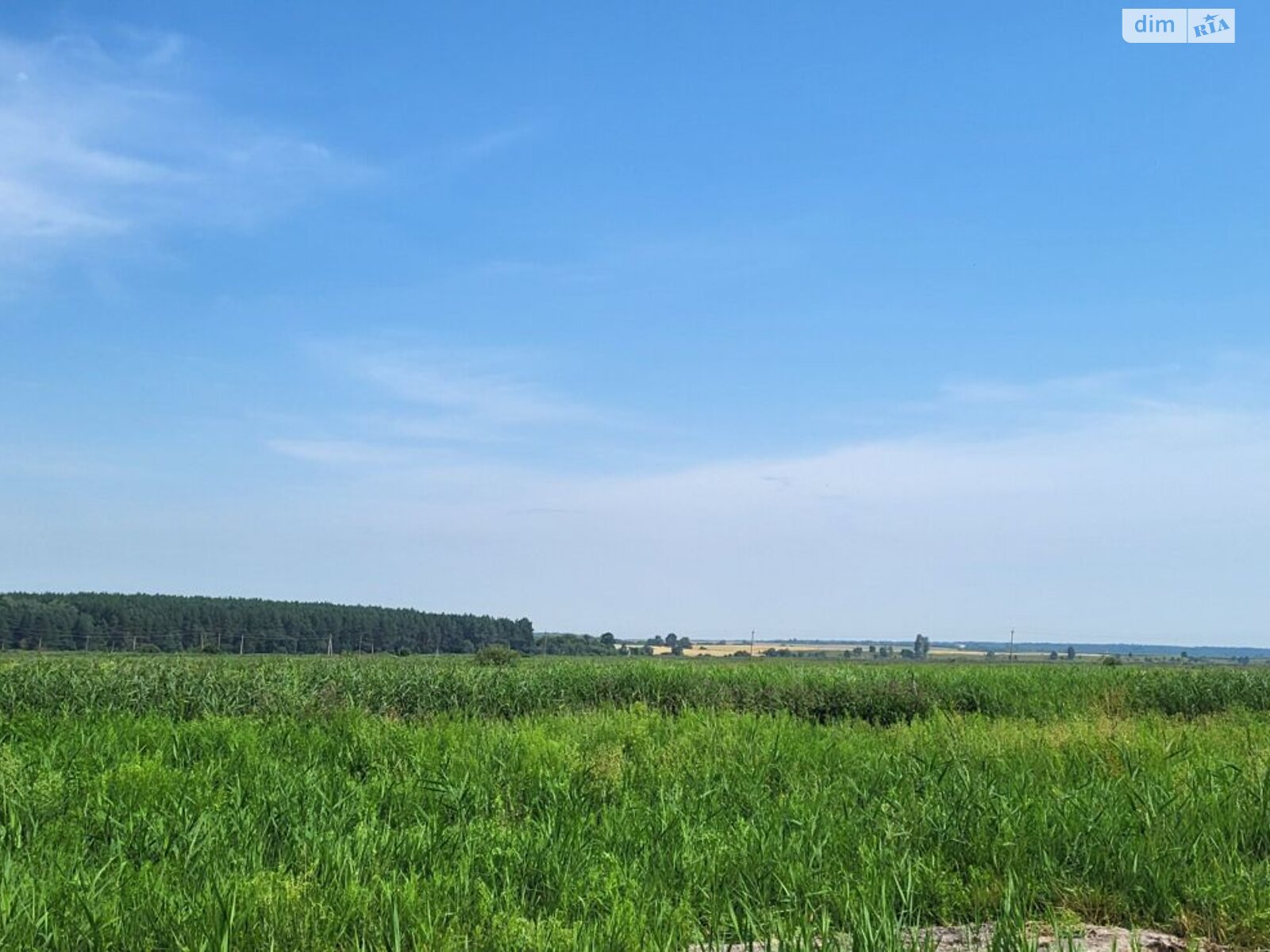Земельный участок сельскохозяйственного назначения в Мостище, площадь 4.958 Га фото 1 Земельный участок сельскохозяйственного назначения в Мостище, площадь 4.958 Га фото 1