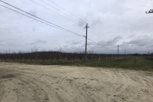 Земля сельскохозяйственного назначения в Мостиске, площадь 2100 соток фото 2