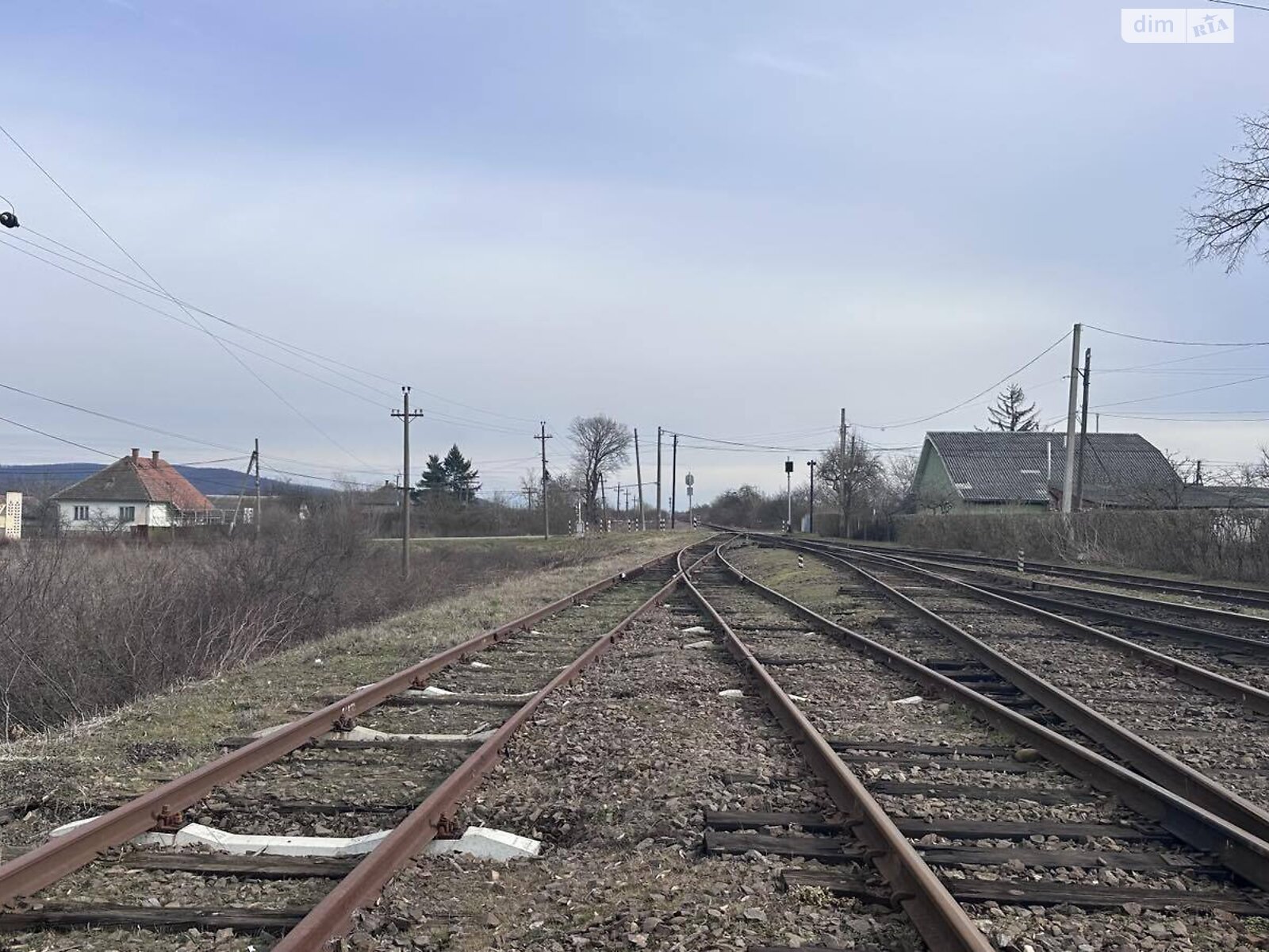 Земельна ділянка сільськогосподарського призначення в Мужієві, площа 600 соток фото 1