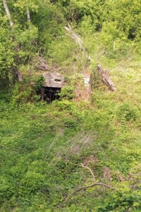 Земля сільськогосподарського призначення в Мукачеві, район Мукачево, площа 7 соток фото 2