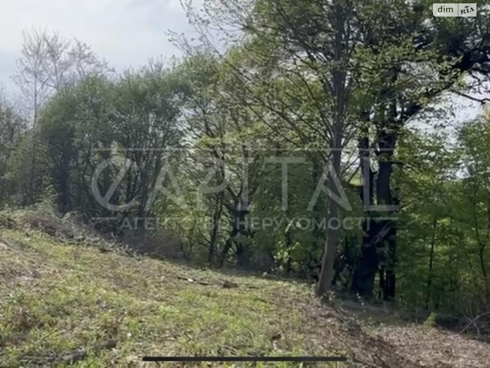 Земля сельскохозяйственного назначения в Мукачеве, район Подгород, площадь 160 соток фото 1