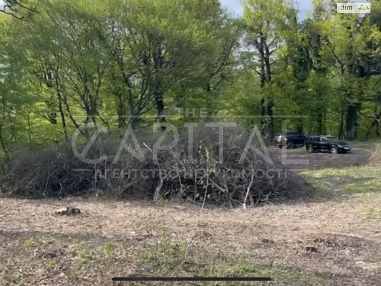 Земля сільськогосподарського призначення в Мукачеві, район Підгоряни, площа 160 соток фото 1