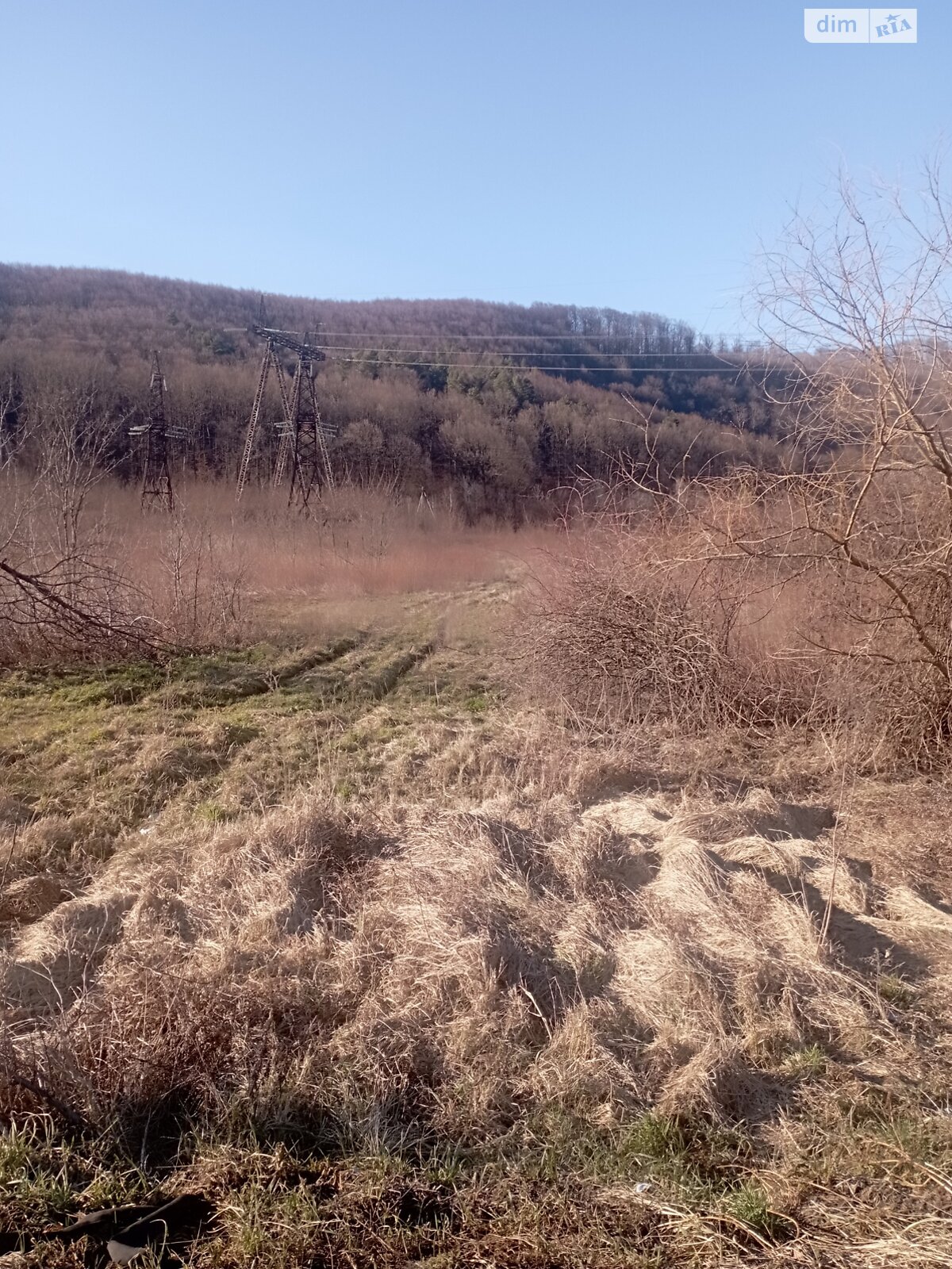 Земельный участок сельскохозяйственного назначения в Мукачеве, площадь 0.664 Га фото 1