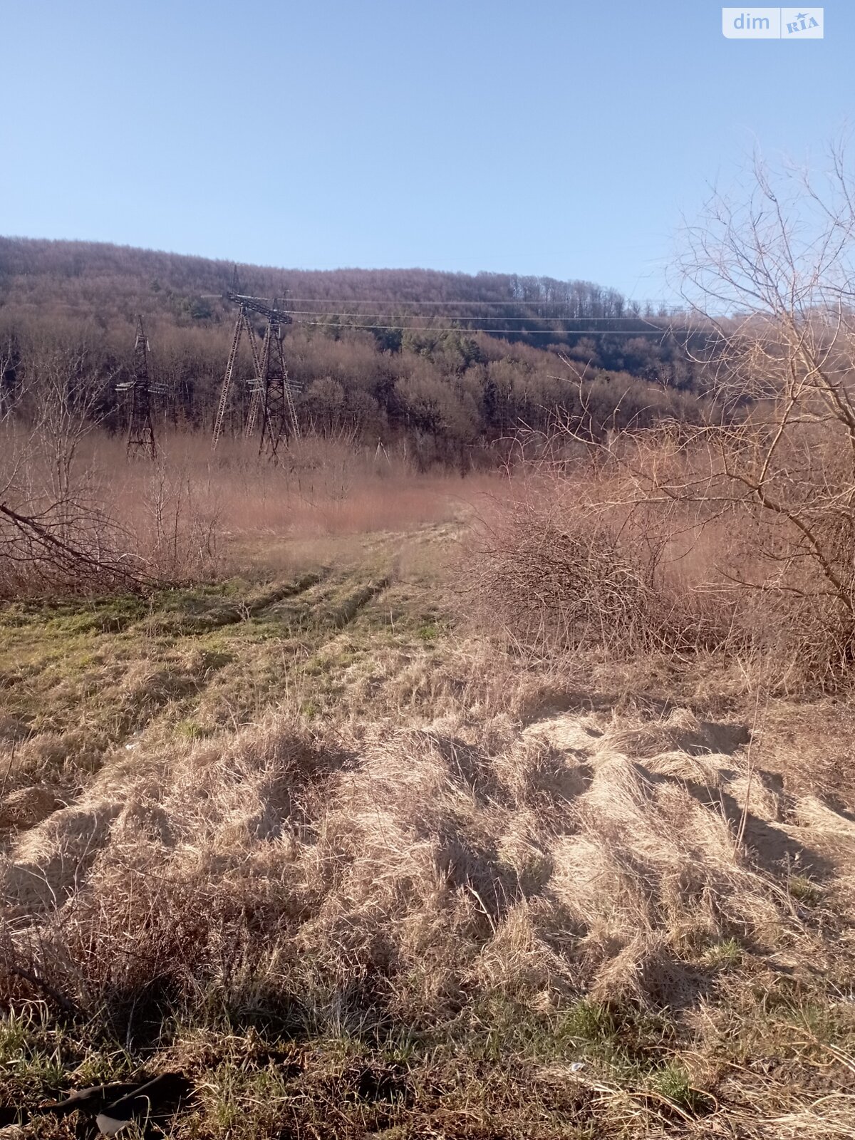 Земельна ділянка сільськогосподарського призначення в Мукачеві, площа 0.664 Га фото 1