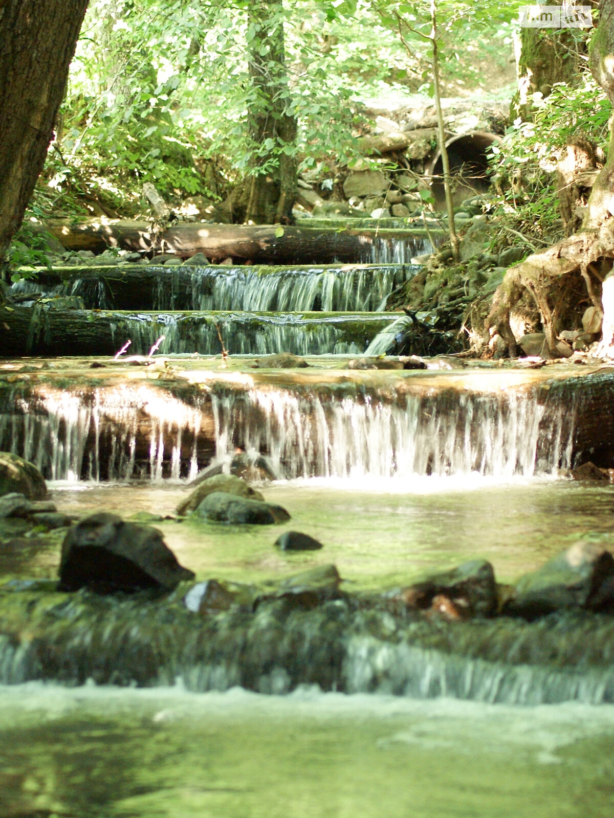 Земельный участок сельскохозяйственного назначения в Мукачеве, площадь 8 соток фото 1
