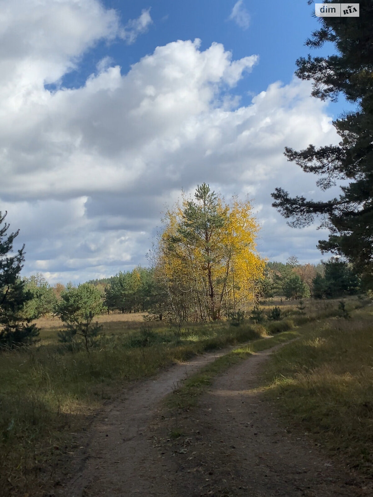 Земельна ділянка сільськогосподарського призначення в Мурафі, площа 20 Га фото 1 Земельна ділянка сільськогосподарського призначення в Мурафі, площа 20 Га фото 1