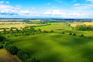 Земля сільськогосподарського призначення в Мурованих Курилівцях, район Муровані Курилівці, площа 60 Га фото 1