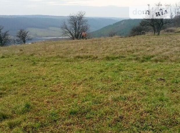 Земля сельскохозяйственного назначения в селе Петриманы, площадь 4 Га фото 2 Земля сельскохозяйственного назначения в селе Петриманы, площадь 4 Га фото 2