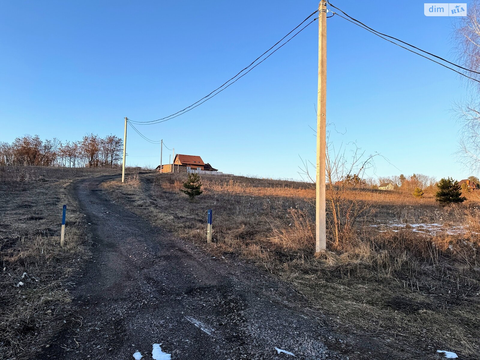 Земельна ділянка сільськогосподарського призначення в Музичах, площа 12 соток фото 1 Земельна ділянка сільськогосподарського призначення в Музичах, площа 12 соток фото 1