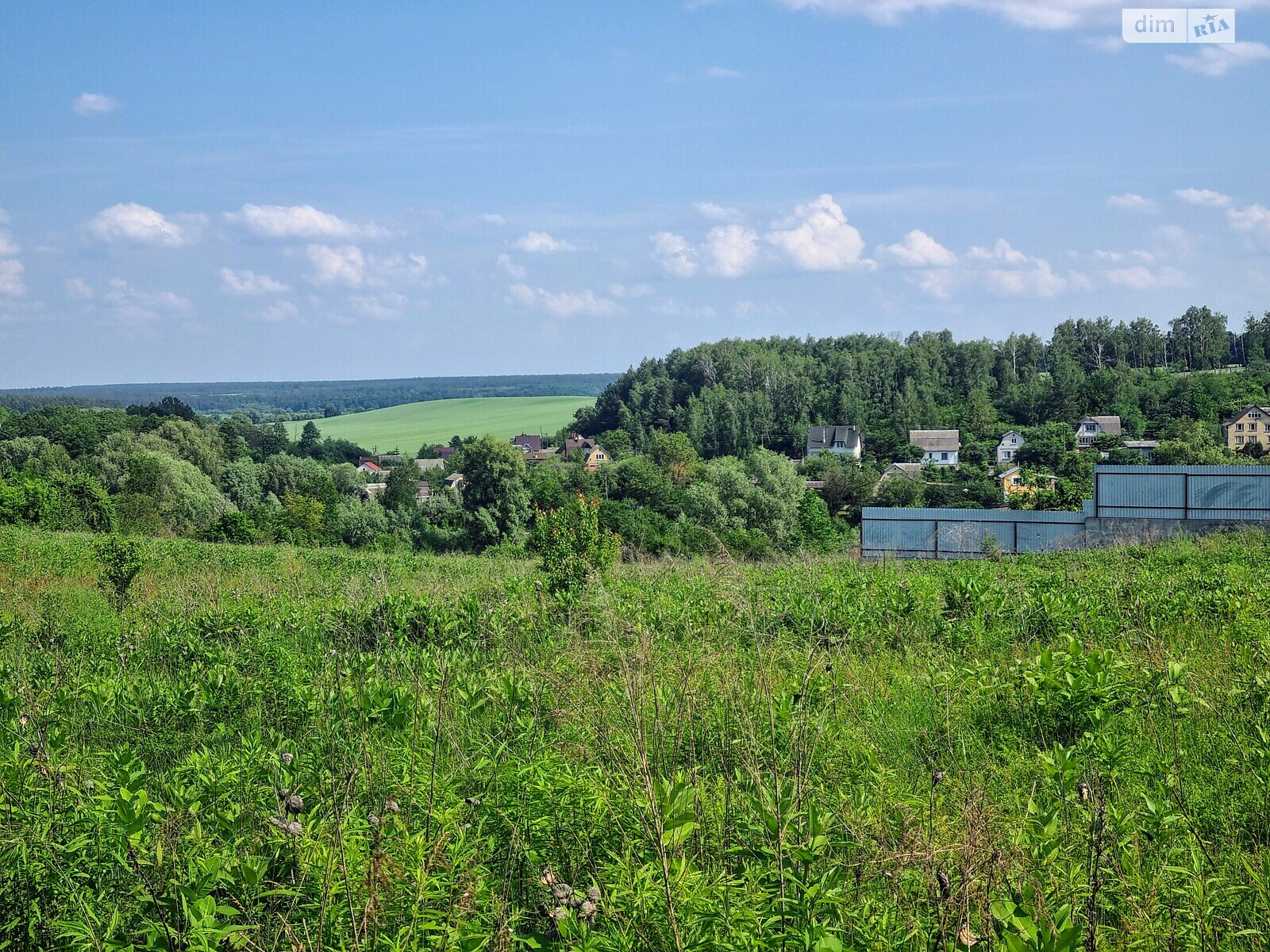 Земельна ділянка сільськогосподарського призначення в Музичах, площа 12 соток фото 1 Земельна ділянка сільськогосподарського призначення в Музичах, площа 12 соток фото 1
