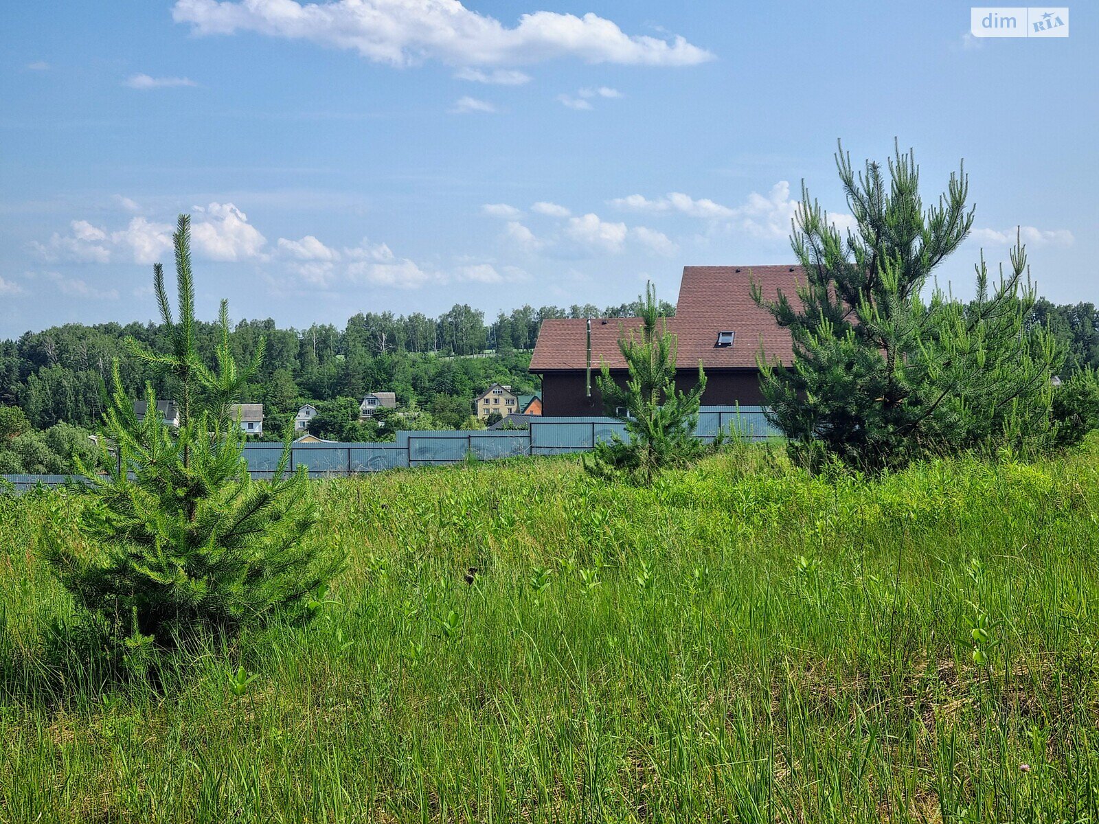 Земельна ділянка сільськогосподарського призначення в Музичах, площа 12 соток фото 1 Земельна ділянка сільськогосподарського призначення в Музичах, площа 12 соток фото 1