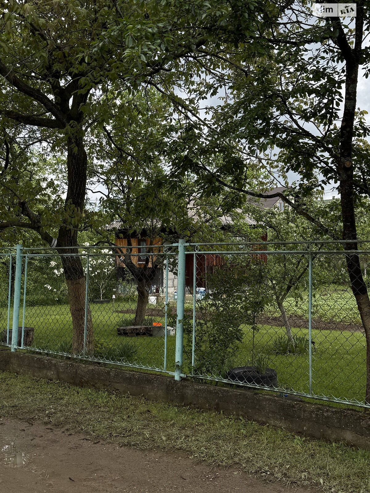 Земельный участок сельскохозяйственного назначения в Мирном, площадь 6 соток фото 1 Земельный участок сельскохозяйственного назначения в Мирном, площадь 6 соток фото 1
