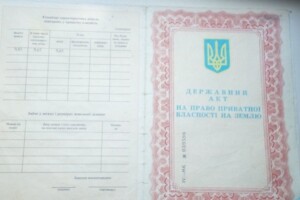Земельна ділянка сільськогосподарського призначення в Нечаяне, площа 5.1016 Га фото 2