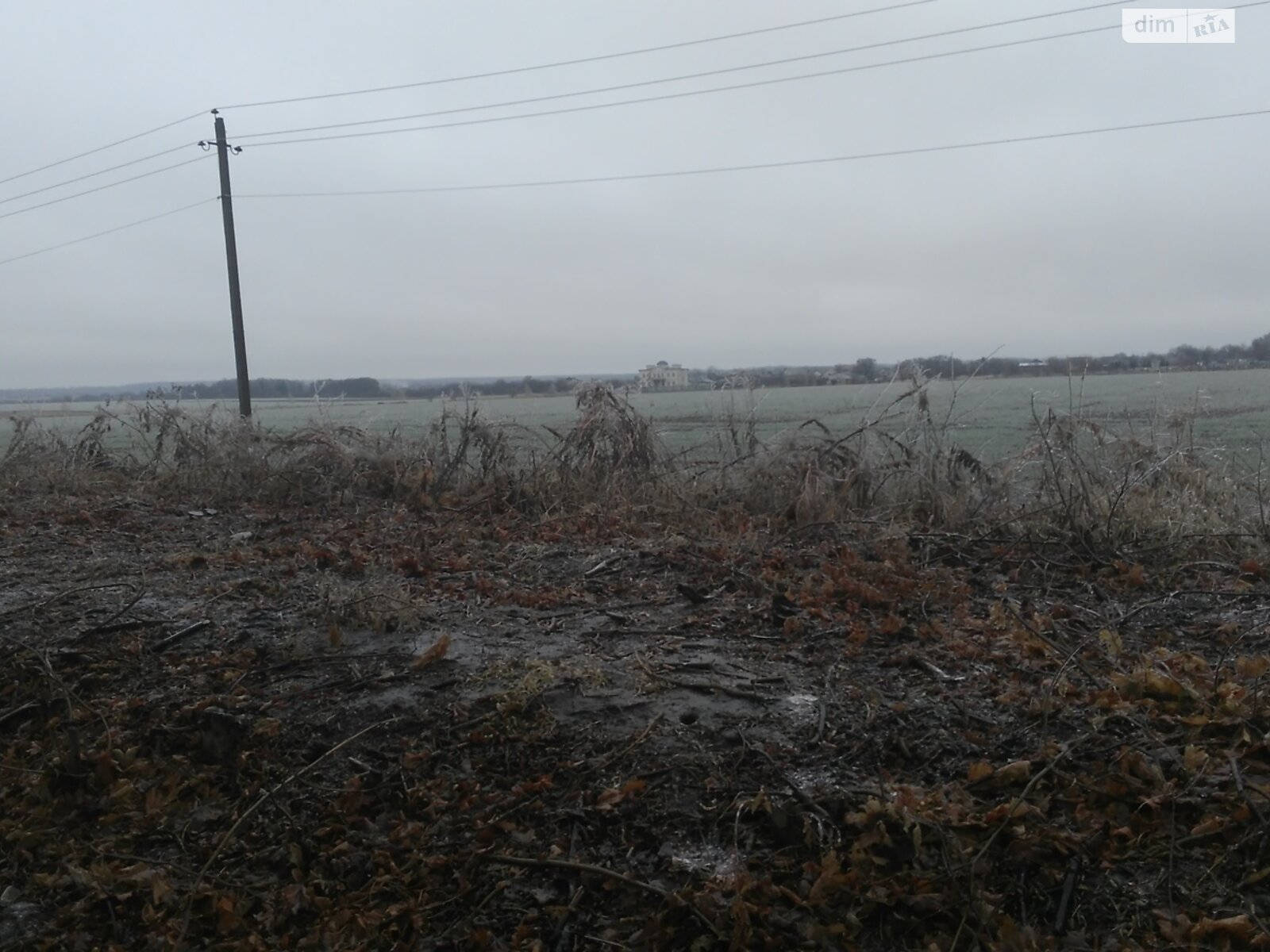 Земельна ділянка сільськогосподарського призначення в Некрасове, площа 6 Га фото 1