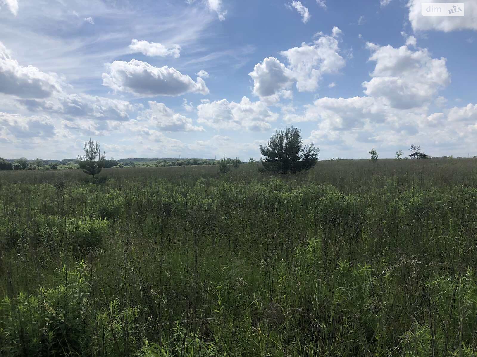 Земельна ділянка сільськогосподарського призначення в Некрасове, площа 8 соток фото 1 Земельна ділянка сільськогосподарського призначення в Некрасове, площа 8 соток фото 1