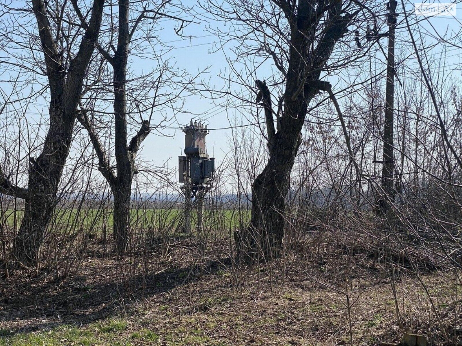 Земельна ділянка сільськогосподарського призначення в Воробіївці, площа 6 Га фото 1