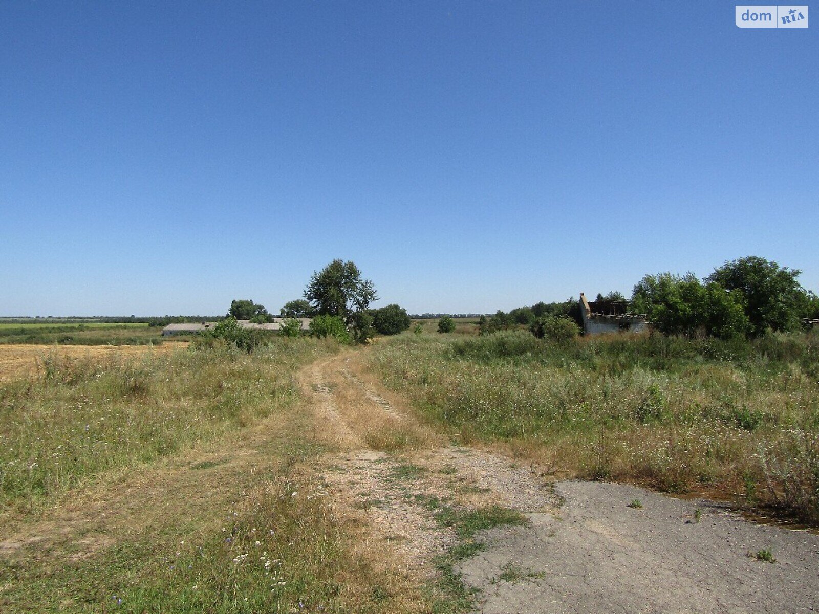 Земельна ділянка сільськогосподарського призначення в Воробіївці, площа 6 Га фото 1