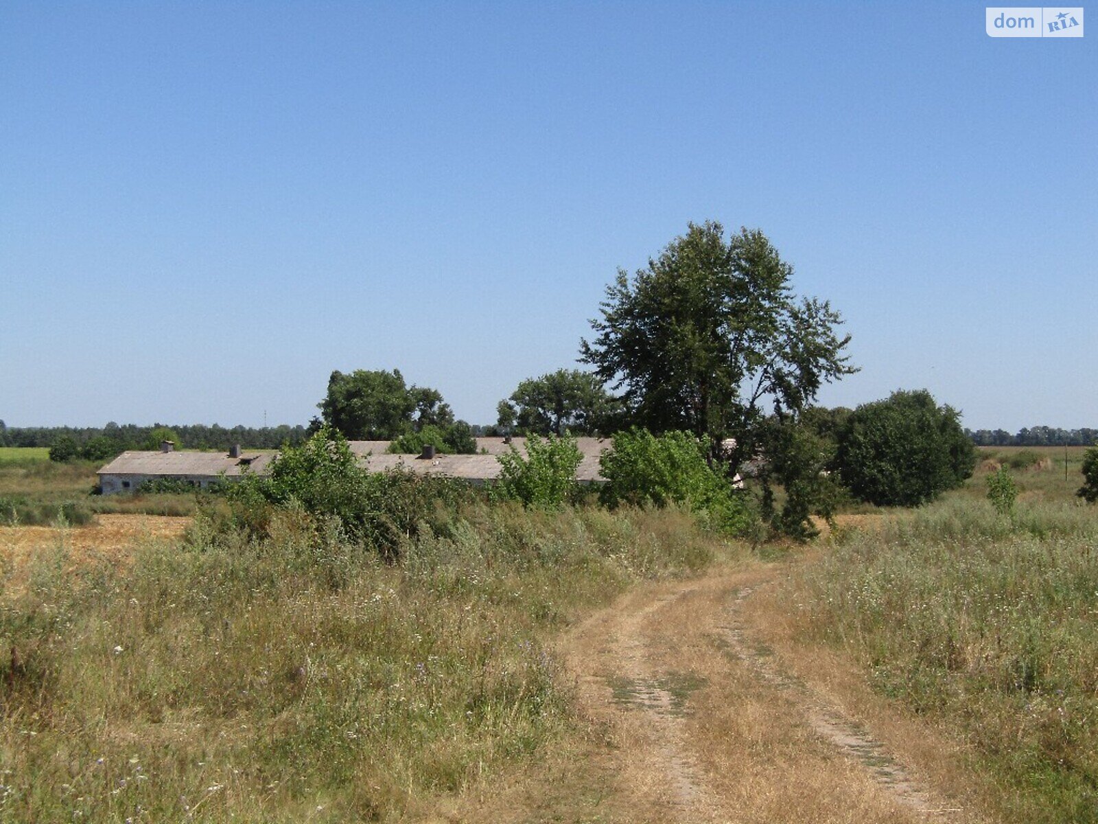 Земельна ділянка сільськогосподарського призначення в Воробіївці, площа 6 Га фото 1