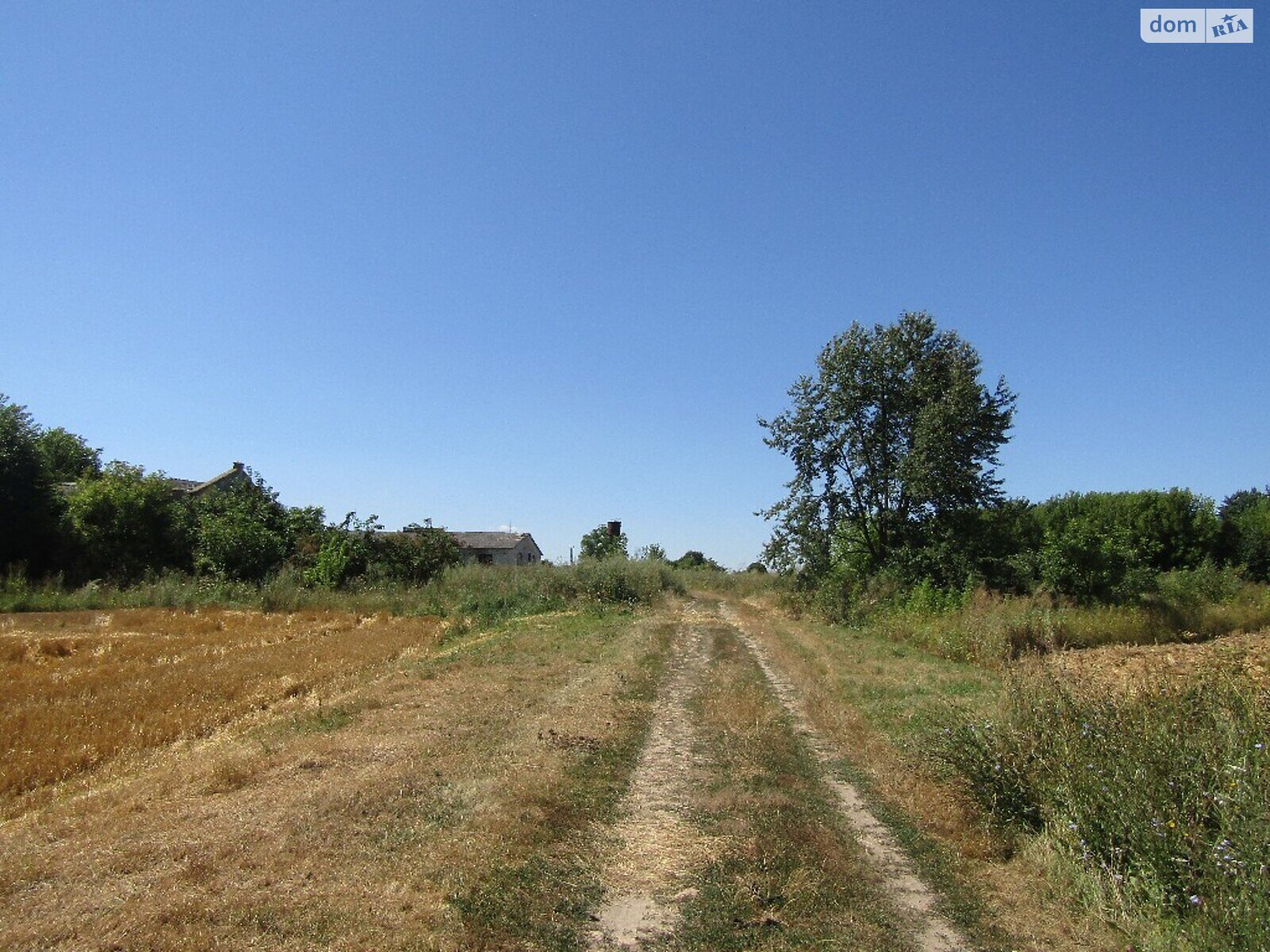 Земельна ділянка сільськогосподарського призначення в Воробіївці, площа 6 Га фото 1