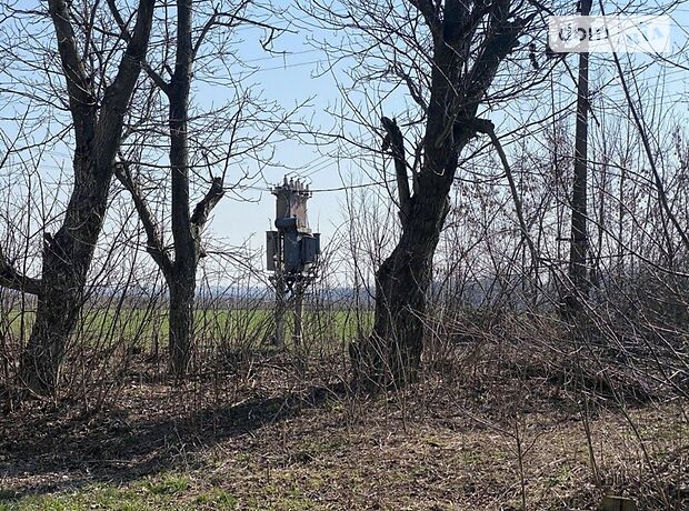 Земля сільськогосподарського призначення в селі Воробіївка, площа 6 Га фото 1 Земля сільськогосподарського призначення в селі Воробіївка, площа 6 Га фото 1
