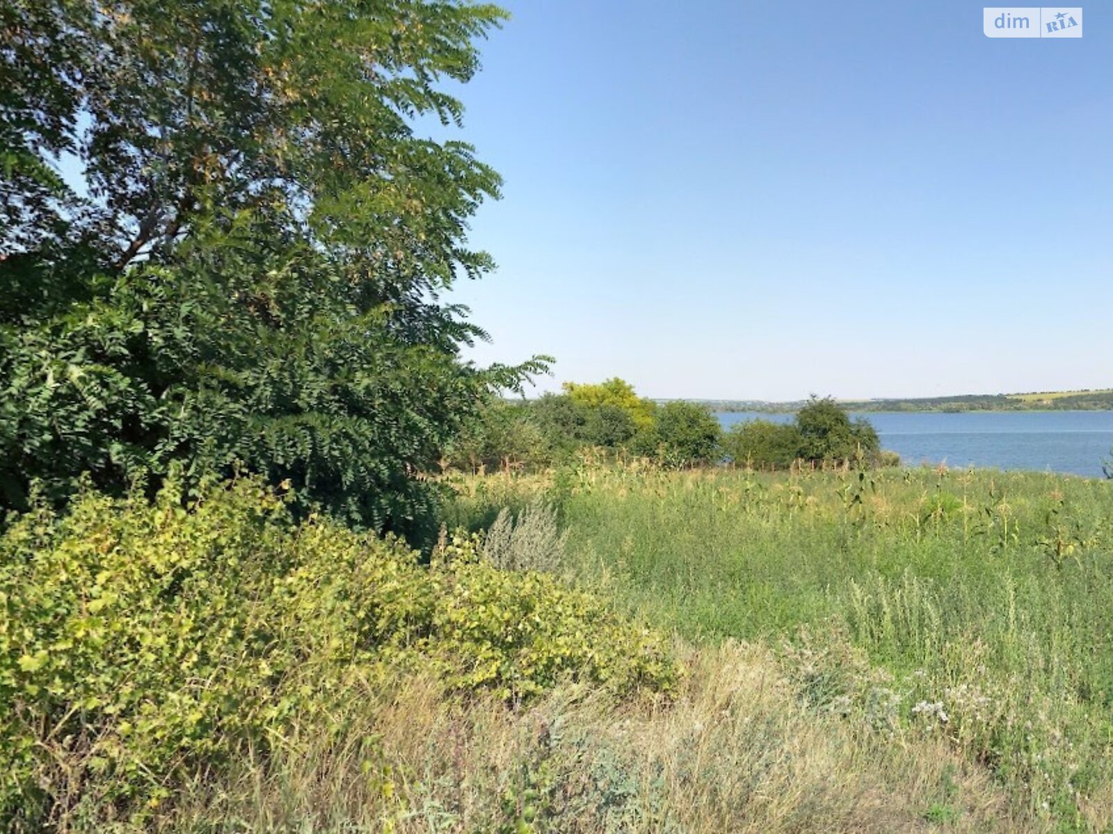 Земельна ділянка сільськогосподарського призначення в Запорожці, площа 5.2052 Га фото 1 Земельна ділянка сільськогосподарського призначення в Запорожці, площа 5.2052 Га фото 1