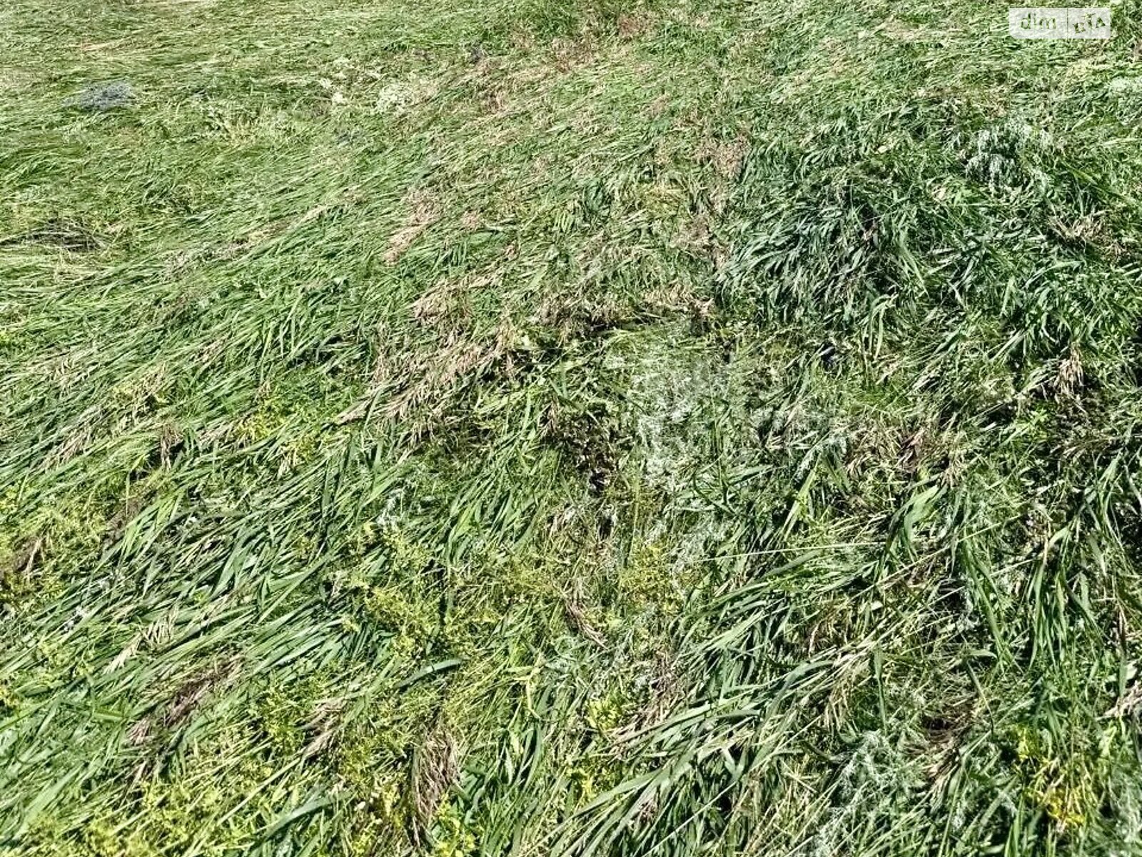 Земельна ділянка сільськогосподарського призначення в Нерубайське, площа 5.79 сотки фото 1 Земельна ділянка сільськогосподарського призначення в Нерубайське, площа 5.79 сотки фото 1