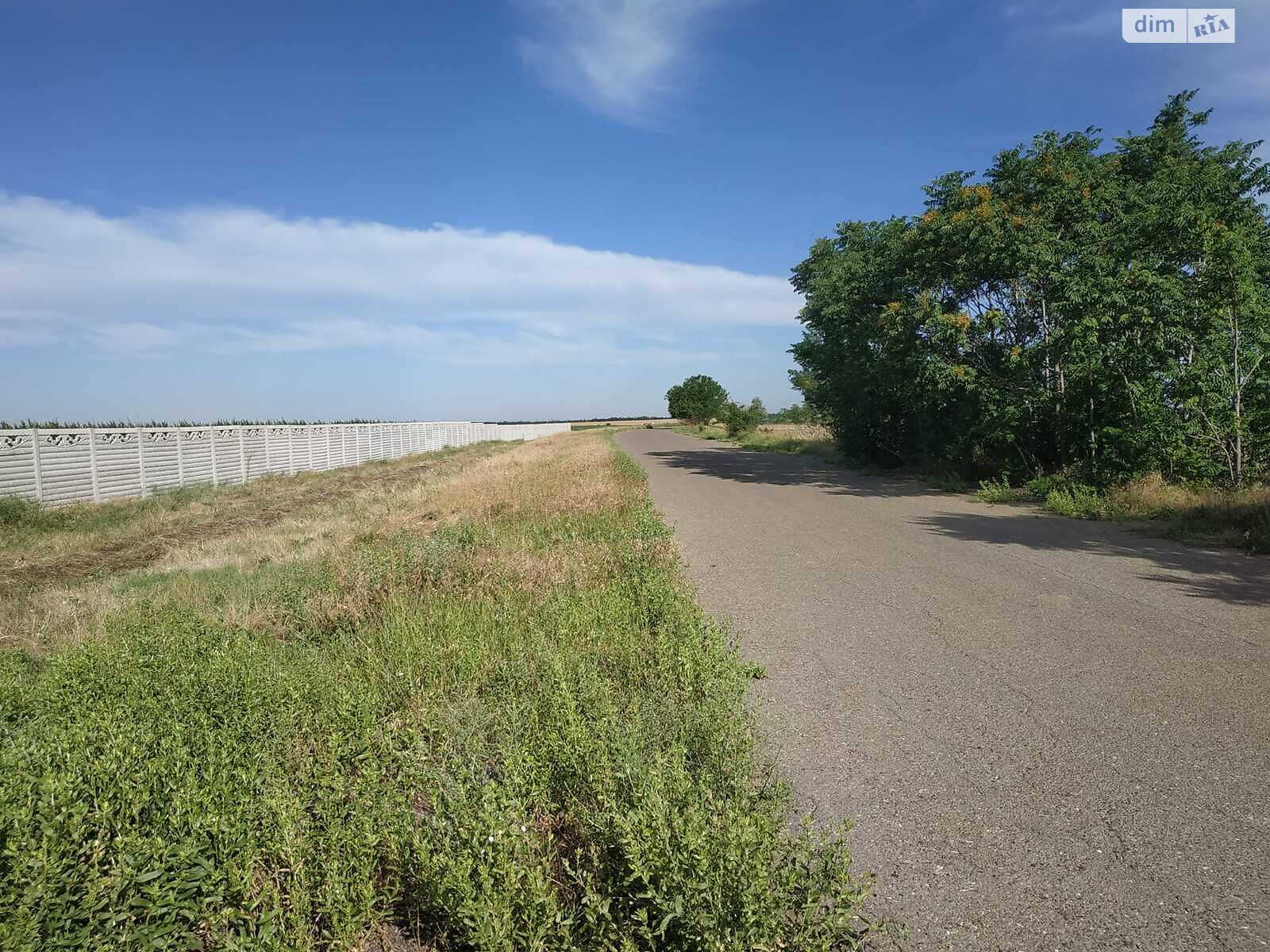 Земельна ділянка сільськогосподарського призначення в Нерубайське, площа 50 соток фото 1