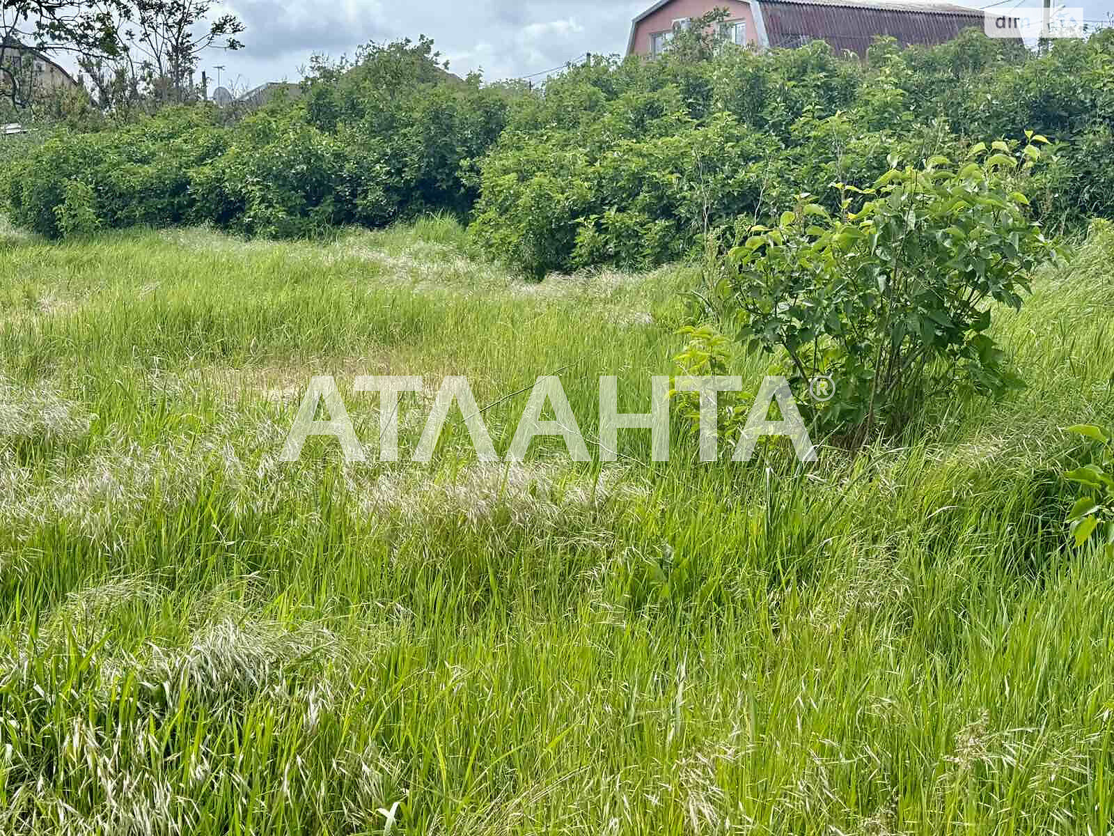 Земельна ділянка сільськогосподарського призначення в Нерубайське, площа 16 соток фото 1 Земельна ділянка сільськогосподарського призначення в Нерубайське, площа 16 соток фото 1