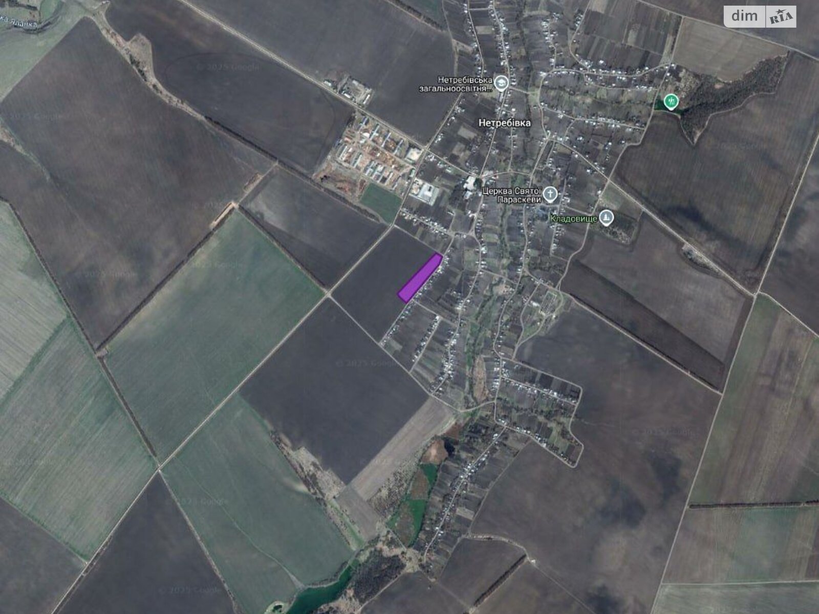 Земельна ділянка сільськогосподарського призначення в Нетребівці, площа 1.6938 Га фото 1