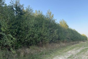 Земельна ділянка сільськогосподарського призначення в Невицькому, площа 6 соток фото 2