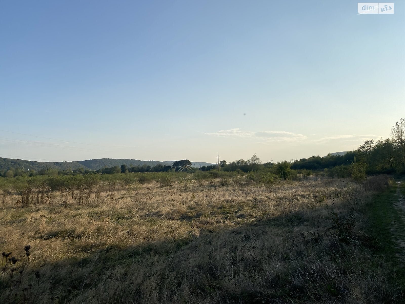 Земельна ділянка сільськогосподарського призначення в Невицькому, площа 6 соток фото 1