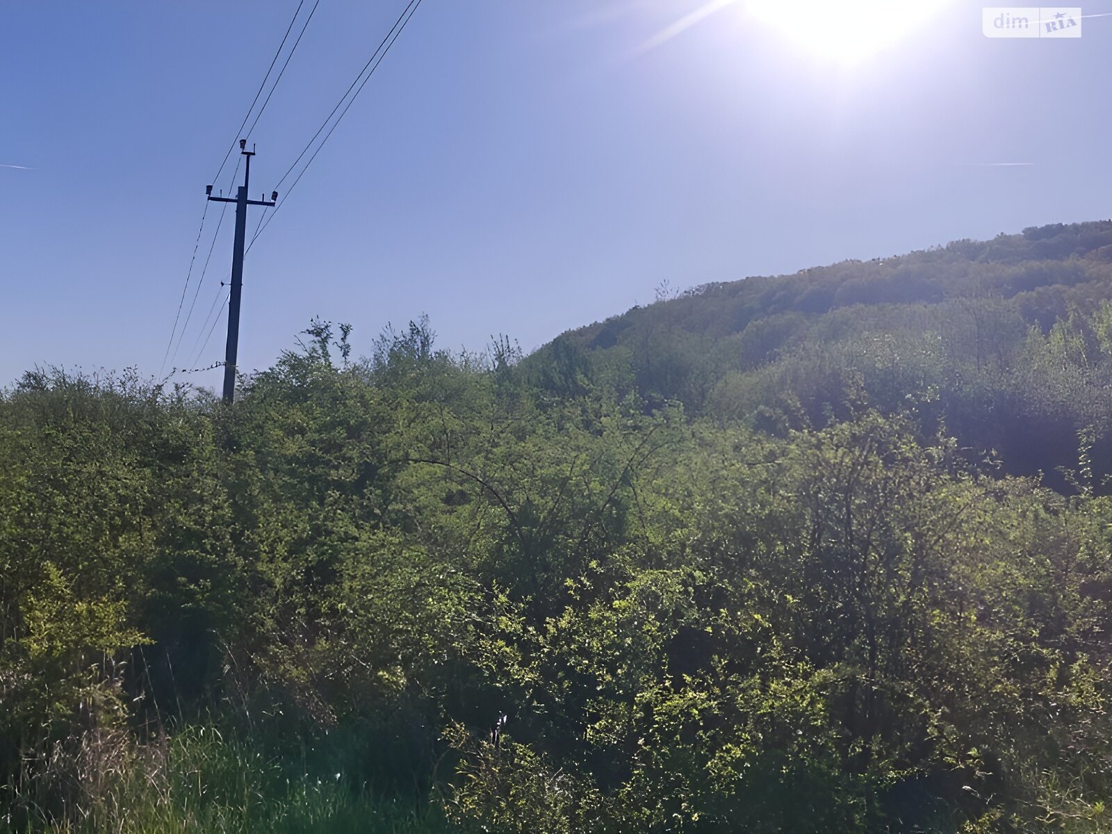 Земельна ділянка сільськогосподарського призначення в Невицькому, площа 10 соток фото 1 Земельна ділянка сільськогосподарського призначення в Невицькому, площа 10 соток фото 1