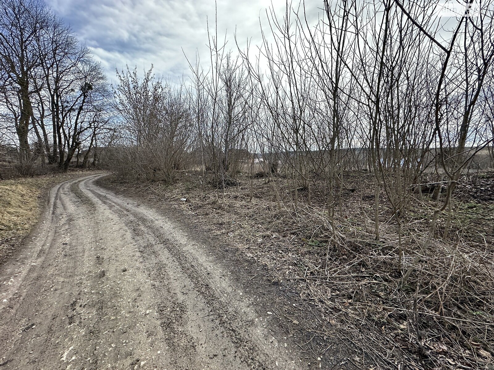 Земельна ділянка сільськогосподарського призначення в Нижніх Вовківцях, площа 18.5 сотки фото 1