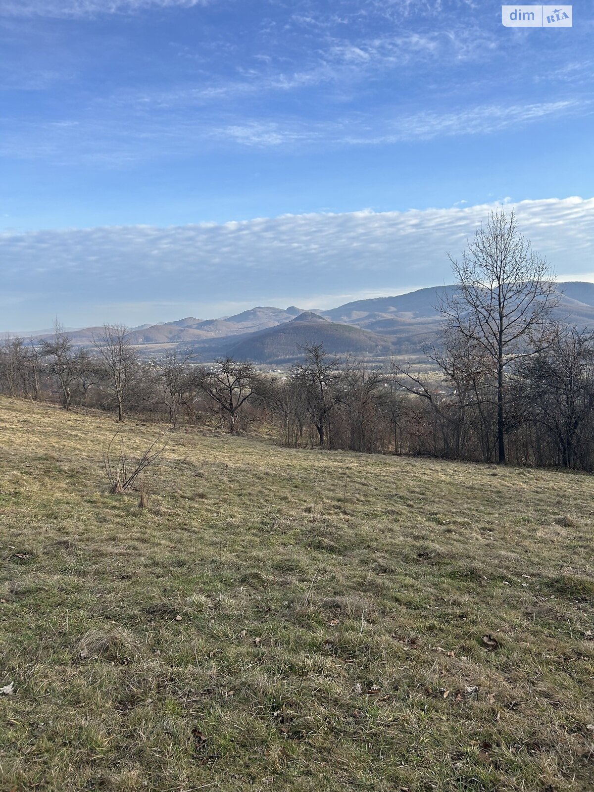Земельна ділянка сільськогосподарського призначення в Нижньому Березові, площа 39.95 сотки фото 1 Земельна ділянка сільськогосподарського призначення в Нижньому Березові, площа 39.95 сотки фото 1