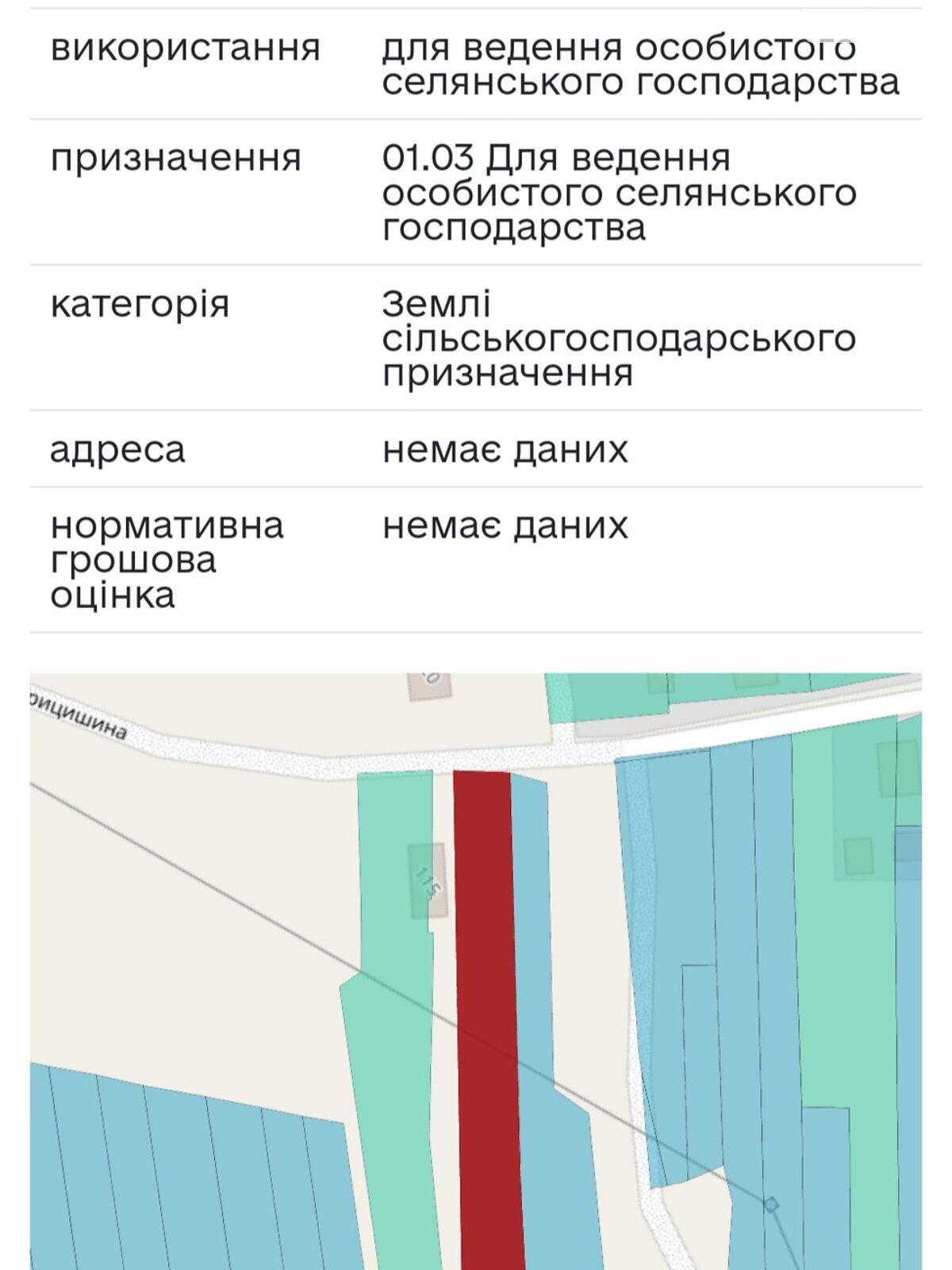 Земельный участок сельскохозяйственного назначения в Никитинцах, площадь 28 соток фото 1