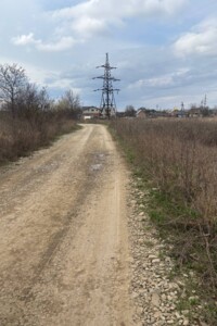 Земельна ділянка сільськогосподарського призначення в Микитинцях, площа 12.99 сотки фото 2