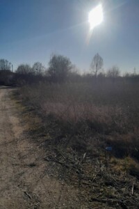 Земельна ділянка сільськогосподарського призначення в Микитинцях, площа 12.99 сотки фото 2