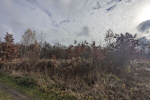 Земельна ділянка сільськогосподарського призначення в Микитинцях, площа 12.6 сотки фото 2 Земельна ділянка сільськогосподарського призначення в Микитинцях, площа 12.6 сотки фото 2